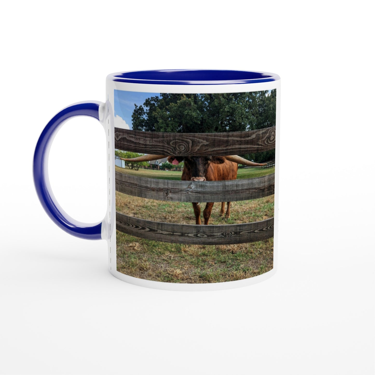 529ca383-dade-4014-8bf0-21378a5b1da3