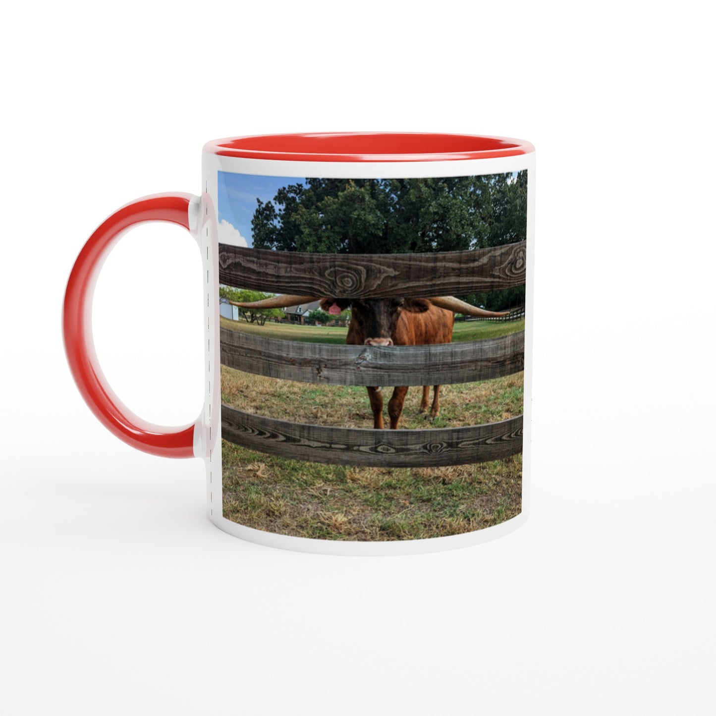 949ebb58-700e-4af0-a659-0c7cfb1ed58c