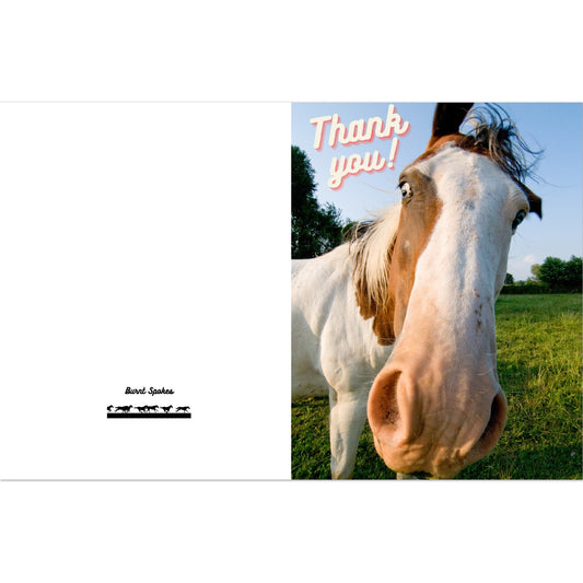Horsey Thank You Cards
